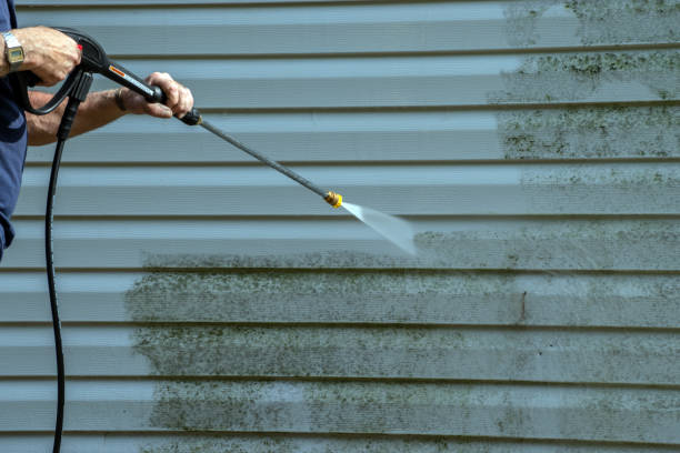 Best Gutter Cleaning  in Sayville, NY